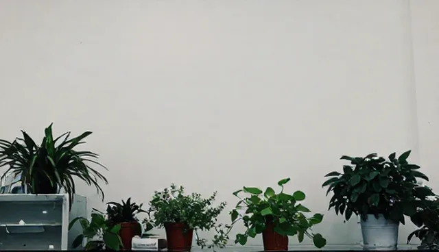 技术外包服务选型关注点,如何满足适用条件